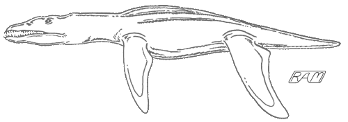 http://www.elasmo-research.org/education/evolution/evol-image/giants/liopleurodon.gif
