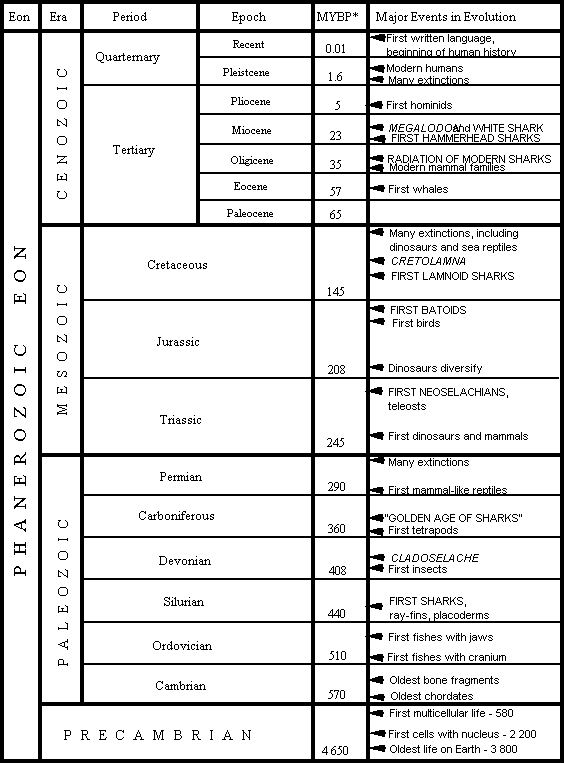 Human Evolution Time Chart