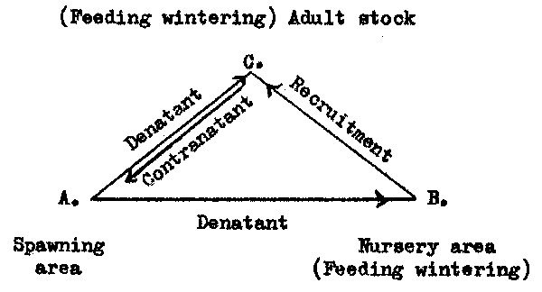 Fig. 8.2