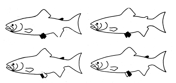 Fig. 8.3