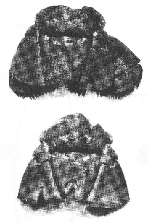Fig. 8.4