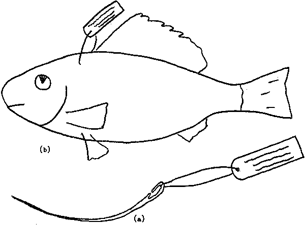 Fig. 8.9