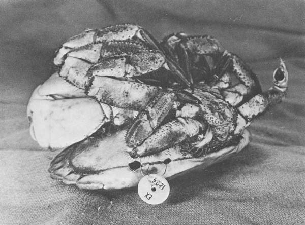 Fig. 8.12