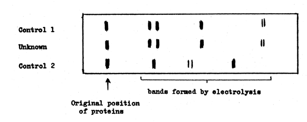 Fig. 8.14
